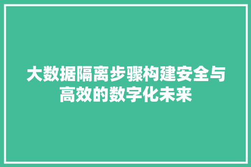 大数据隔离步骤构建安全与高效的数字化未来