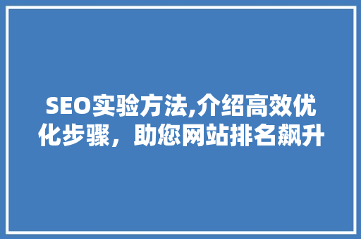 SEO实验方法,介绍高效优化步骤，助您网站排名飙升！ 项目报告