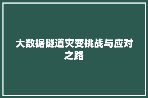 大数据隧道灾变挑战与应对之路