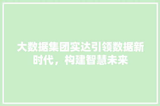 大数据集团实达引领数据新时代，构建智慧未来