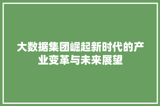 大数据集团崛起新时代的产业变革与未来展望
