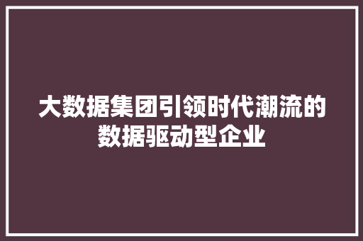 大数据集团引领时代潮流的数据驱动型企业