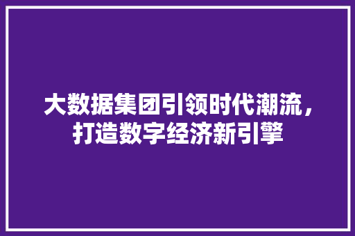 大数据集团引领时代潮流，打造数字经济新引擎