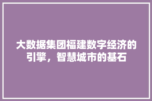 大数据集团福建数字经济的引擎，智慧城市的基石