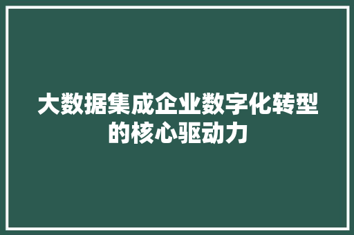 大数据集成企业数字化转型的核心驱动力