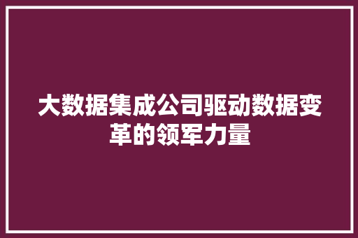 大数据集成公司驱动数据变革的领军力量
