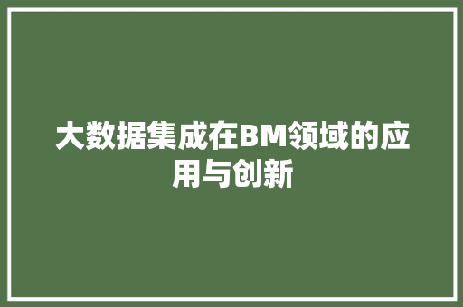 大数据集成在BM领域的应用与创新