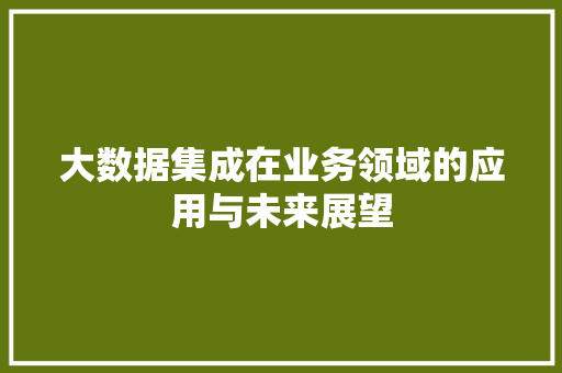大数据集成在业务领域的应用与未来展望
