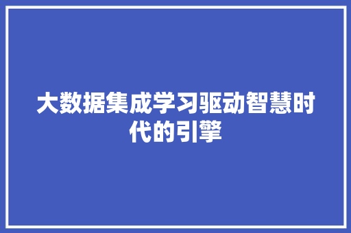 大数据集成学习驱动智慧时代的引擎