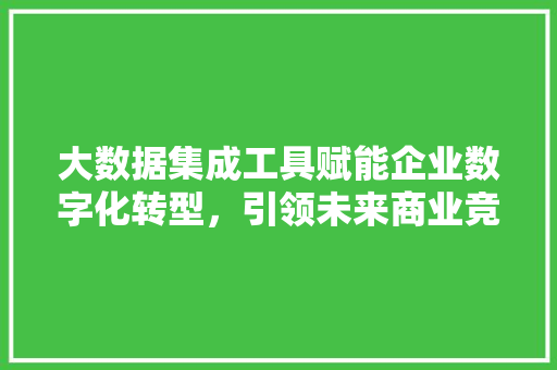 大数据集成工具赋能企业数字化转型，引领未来商业竞争新格局