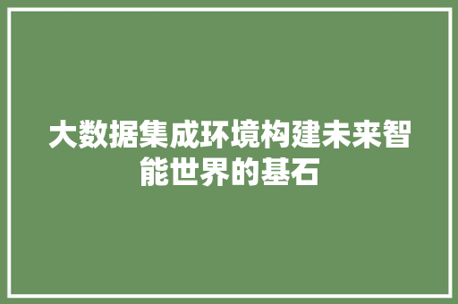 大数据集成环境构建未来智能世界的基石