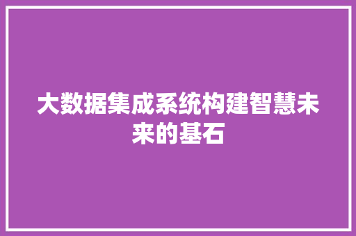 大数据集成系统构建智慧未来的基石