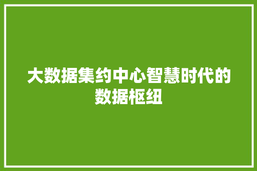 大数据集约中心智慧时代的数据枢纽