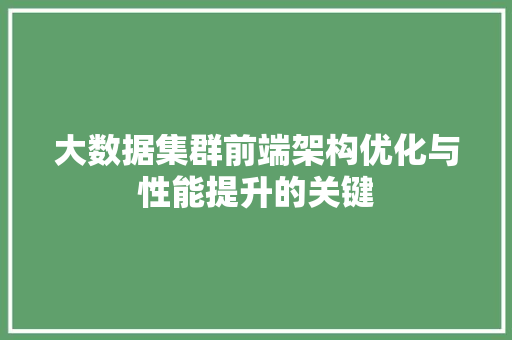 大数据集群前端架构优化与性能提升的关键