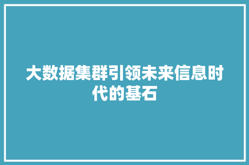 大数据集群引领未来信息时代的基石