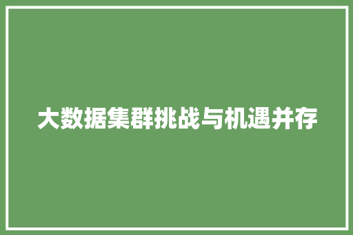 大数据集群挑战与机遇并存