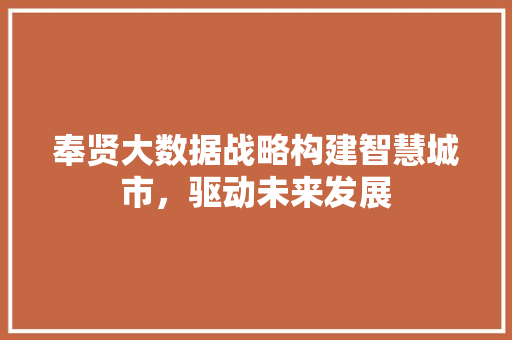 奉贤大数据战略构建智慧城市，驱动未来发展