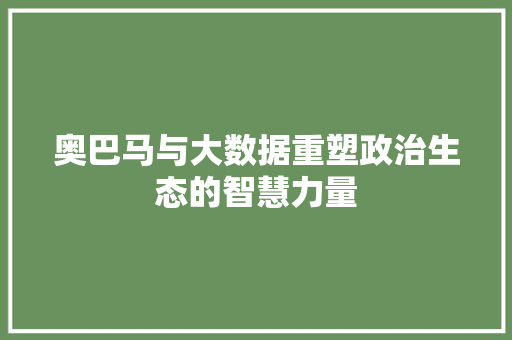 奥巴马与大数据重塑政治生态的智慧力量