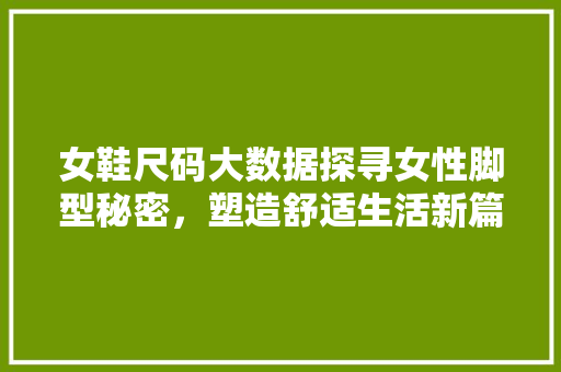 女鞋尺码大数据探寻女性脚型秘密，塑造舒适生活新篇章