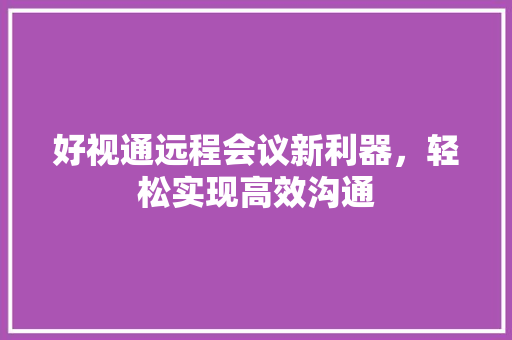 好视通远程会议新利器，轻松实现高效沟通