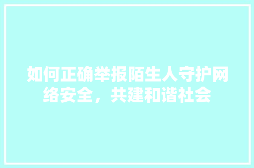 如何正确举报陌生人守护网络安全，共建和谐社会
