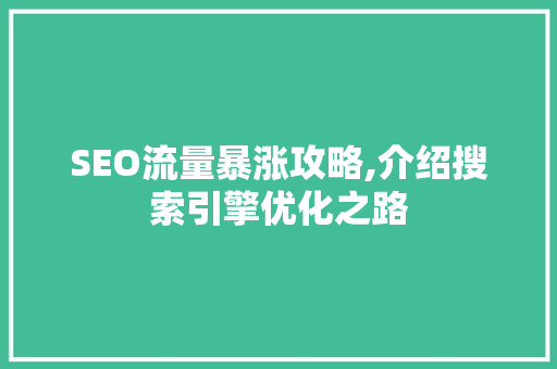 SEO流量暴涨攻略,介绍搜索引擎优化之路 后端技术