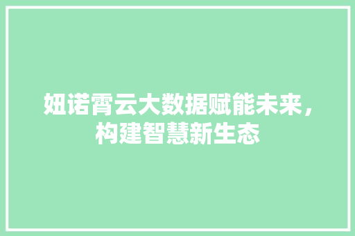 妞诺霄云大数据赋能未来，构建智慧新生态