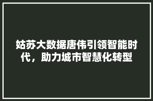 姑苏大数据唐伟引领智能时代，助力城市智慧化转型