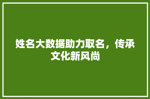 姓名大数据助力取名，传承文化新风尚