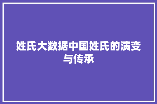 姓氏大数据中国姓氏的演变与传承