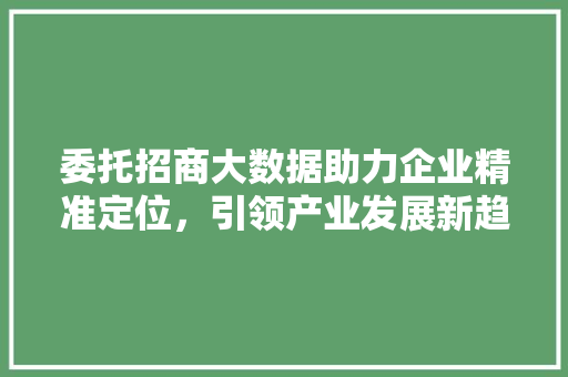 委托招商大数据助力企业精准定位，引领产业发展新趋势