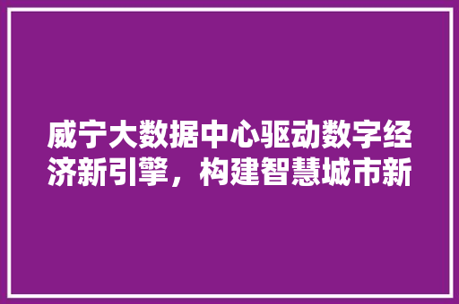 威宁大数据中心驱动数字经济新引擎，构建智慧城市新蓝图