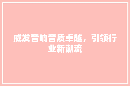 威发音响音质卓越，引领行业新潮流