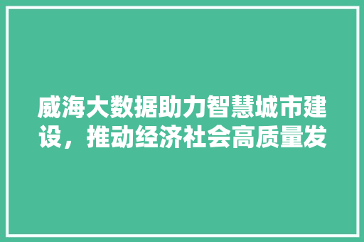 威海大数据助力智慧城市建设，推动经济社会高质量发展