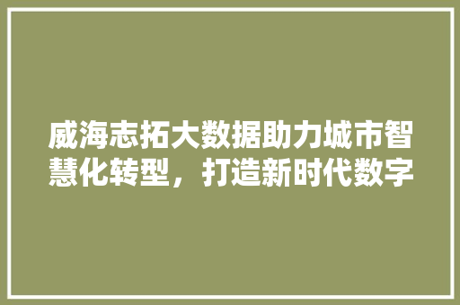 威海志拓大数据助力城市智慧化转型，打造新时代数字引擎