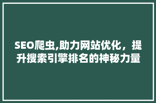 SEO爬虫,助力网站优化，提升搜索引擎排名的神秘力量