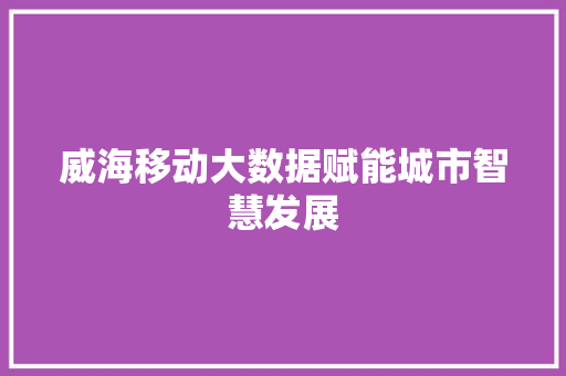 威海移动大数据赋能城市智慧发展