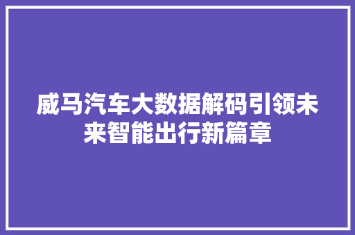 威马汽车大数据解码引领未来智能出行新篇章