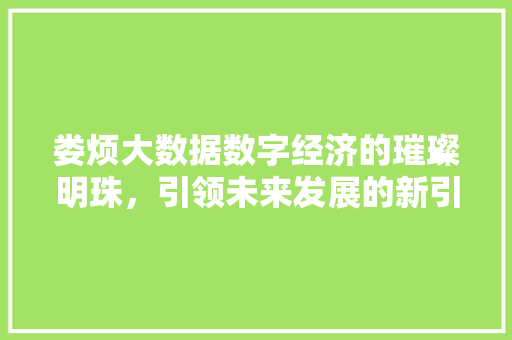娄烦大数据数字经济的璀璨明珠，引领未来发展的新引擎