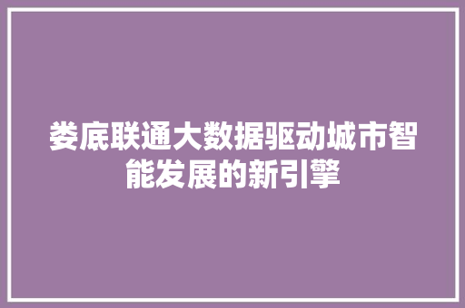 娄底联通大数据驱动城市智能发展的新引擎