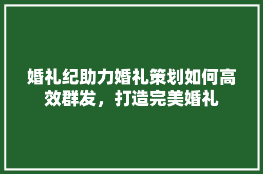 婚礼纪助力婚礼策划如何高效群发，打造完美婚礼