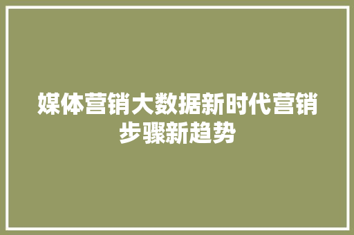 媒体营销大数据新时代营销步骤新趋势