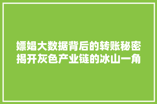 嫖娼大数据背后的转账秘密揭开灰色产业链的冰山一角