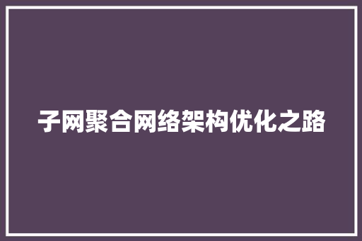 子网聚合网络架构优化之路