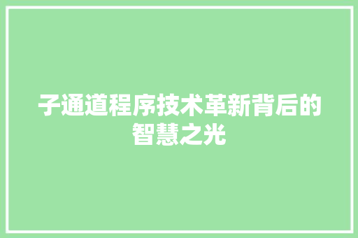 子通道程序技术革新背后的智慧之光