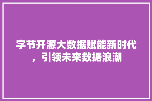 字节开源大数据赋能新时代，引领未来数据浪潮