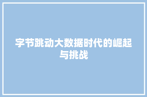 字节跳动大数据时代的崛起与挑战