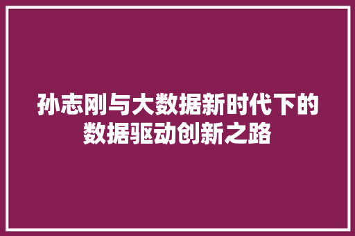 孙志刚与大数据新时代下的数据驱动创新之路
