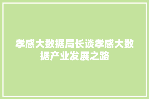 孝感大数据局长谈孝感大数据产业发展之路