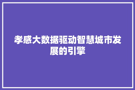 孝感大数据驱动智慧城市发展的引擎